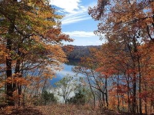 McDermit RV Park
