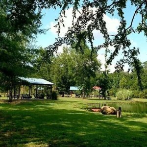Pineview RV Park