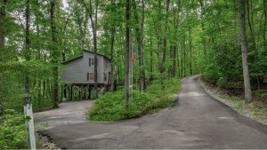 Peaceful Hideaway Treehouse at Haven of Hope
