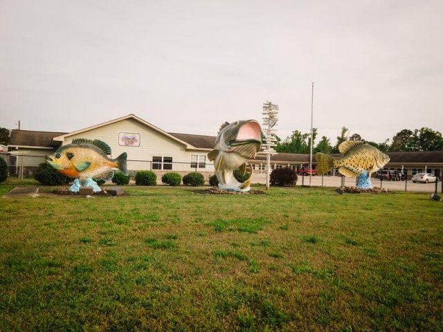 Weiss Lake Lodge