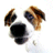 mws4379@yahoo.c